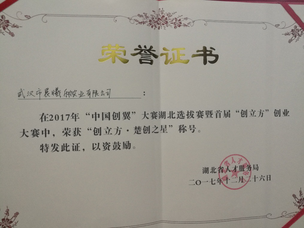 学院荣誉(图75)
